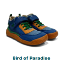 aa