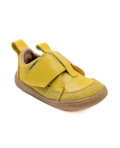 aa