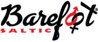 Logo SALTIC