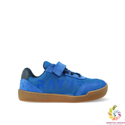 Rayve (Crave) Cupertino Junior Blue