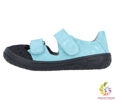 Jonap Fela 2026 mint tlač 