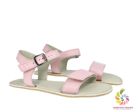 Angles Hestia Rose