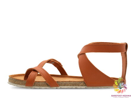 Aylla Sulla Cognac