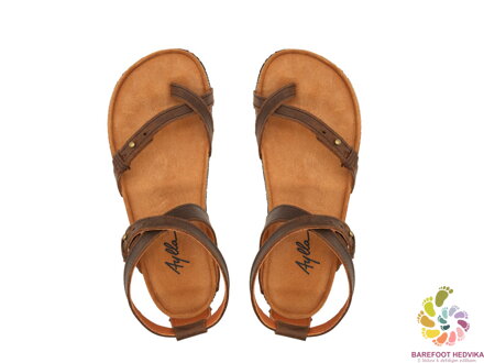 Aylla Sulla Brown 