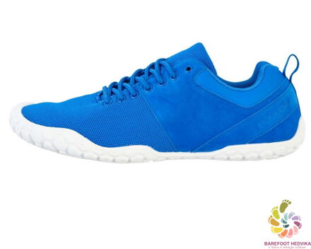 Ballop Bneed Royal Blue