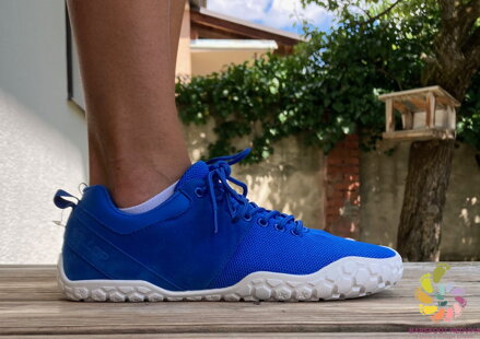 Ballop Bneed Royal Blue