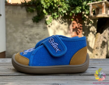 Bar3foot Elf Pascal Blue Shark