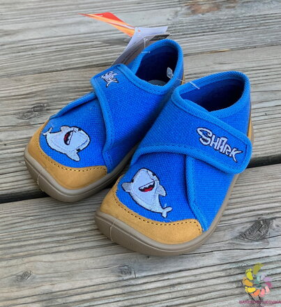 Bar3foot Elf Pascal Blue Shark