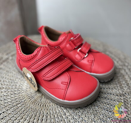 Beda Playful Reddy (BFN 170030/W/NL/GR)