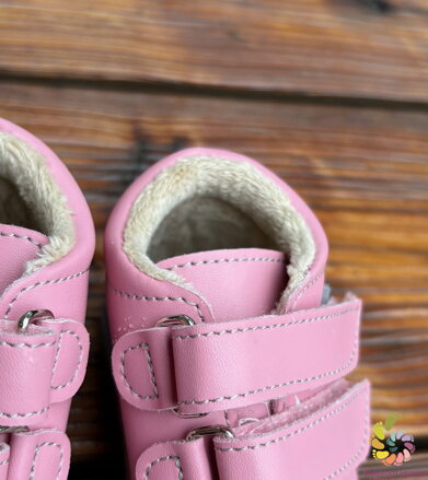 Beda prewalkers Rose Winter