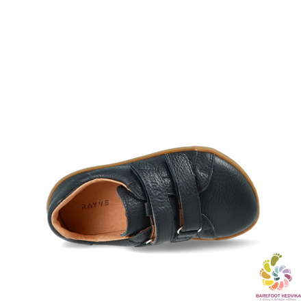 Rayve (Crave) Springfield 2.0 Black