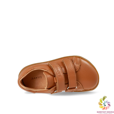 Rayve (Crave) Springfield 2.0 Cognac