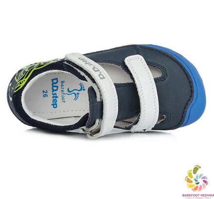 D.D. Step Royal Blue 073-23