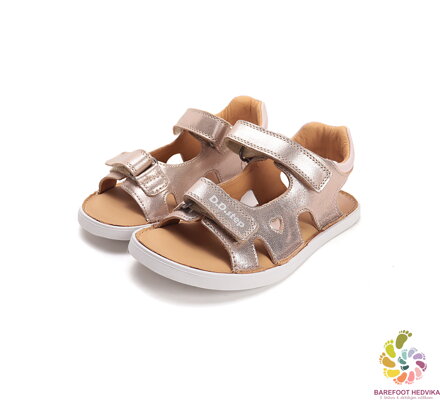 D.D. Step Gold G076-61262B