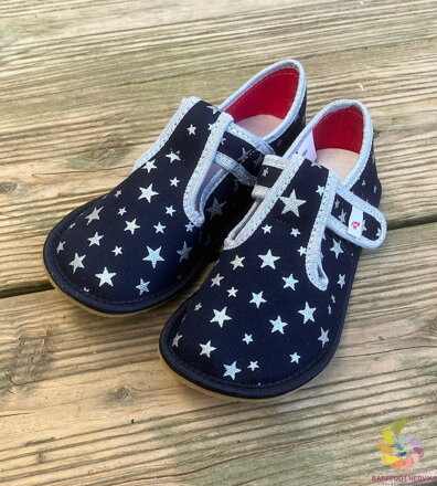 EF 395 Stars