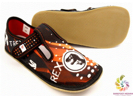 Barefoot slippers EF 395 T-rex Black