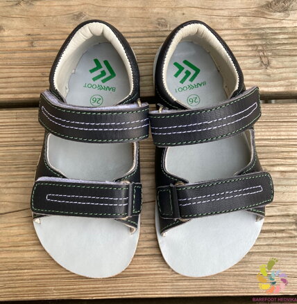 EF Barefoot Blues