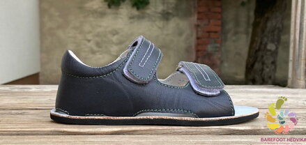 EF Barefoot Blues