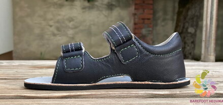 EF Barefoot Blues