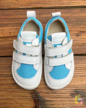 Froddo BF Base D-Velcro 2024 Light Blue+