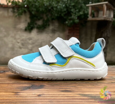Froddo BF Base D-Velcro 2024 Light Blue+