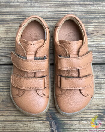 Froddo BF Base Velcro 2025 Cognac