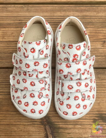 Froddo BF Base Velcro 2024 White / Red