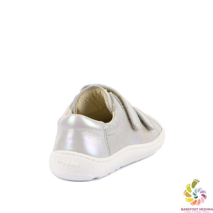 Froddo BF Baze 2026 Magic