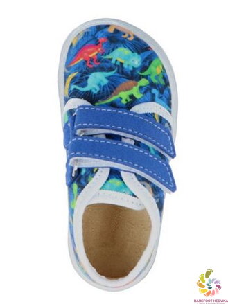 Jonap B17 Blue Dino BARE