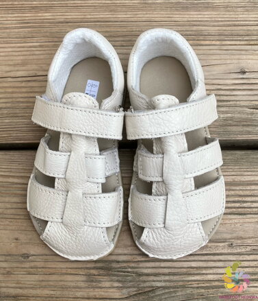 Jonap Zula 2025 White Shine