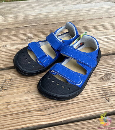 Jonap Fela 2025 Blue 
