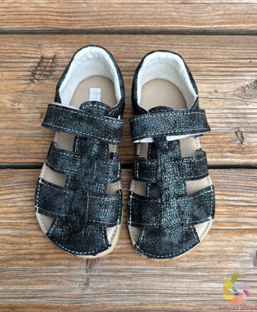 Jonap Zula 2026 modročierna lesk