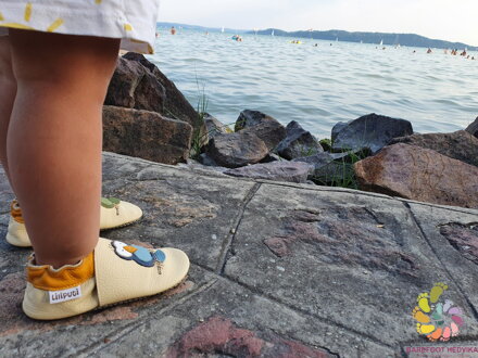 Liliputi Soft Paws Shoes Silent Birds