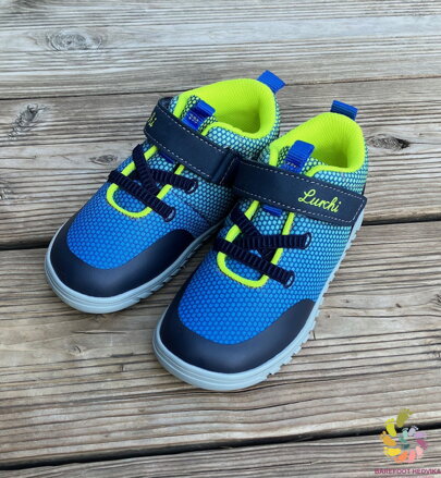 Lurchi Baran Navy