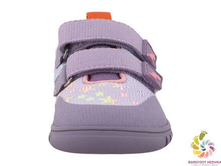 Lurchi Benny Flieder-Rose