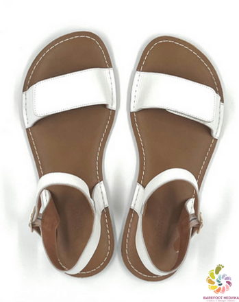 Minimus Ibis White