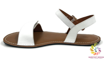 Minimus Ibis White