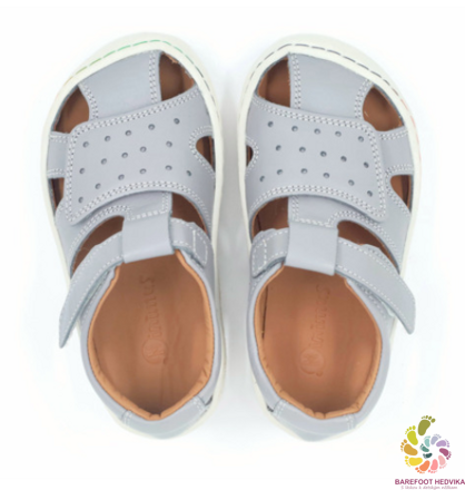Minimus Sanderling Grey