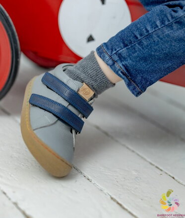 Minimus Roller Gray / Navy