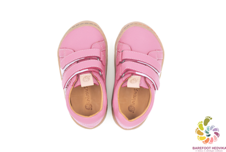 Minimus Woodpecker Bright Pink