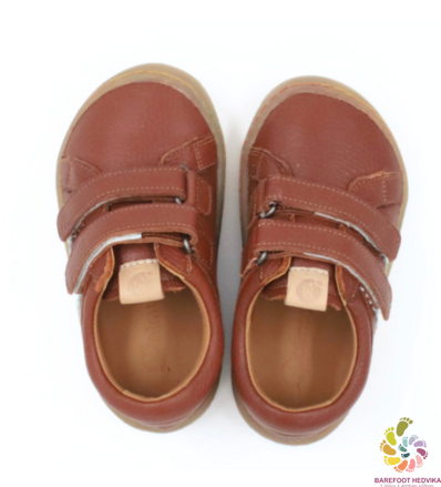 Minimus Woodpecker Tan