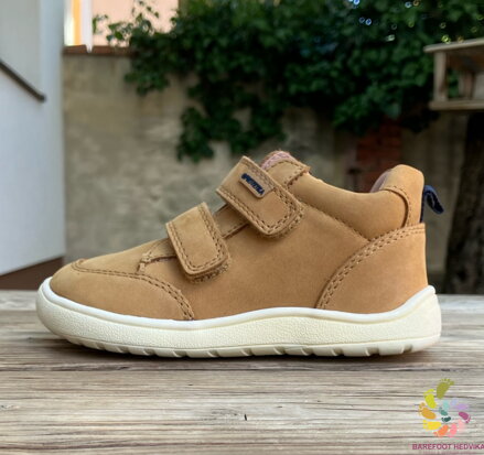 Protetika Deril Beige