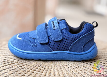 Protetika Alex Azuro