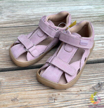 Protetika Hana Purple