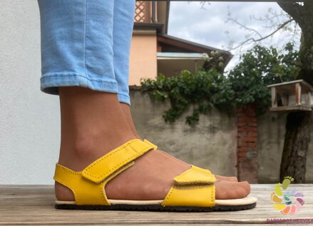 Protetika Belita Yellow