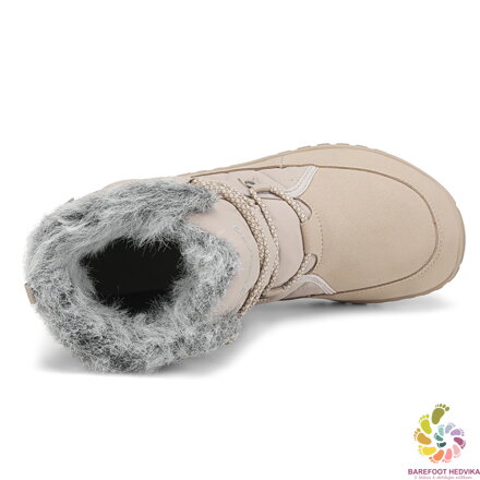 Saguaro Rise I XZF0172 Brown Winter