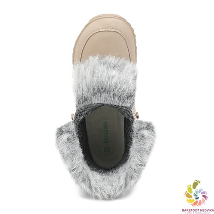 Saguaro Rise I XZF0172 Brown Winter