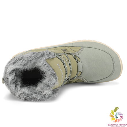 Saguaro Rise I XZF0172 Green Winter