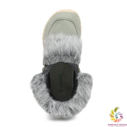 Saguaro Rise I XZF0172 Green Winter
