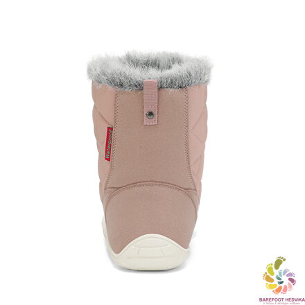 Saguaro Rise I XZF0172 Pink Winter